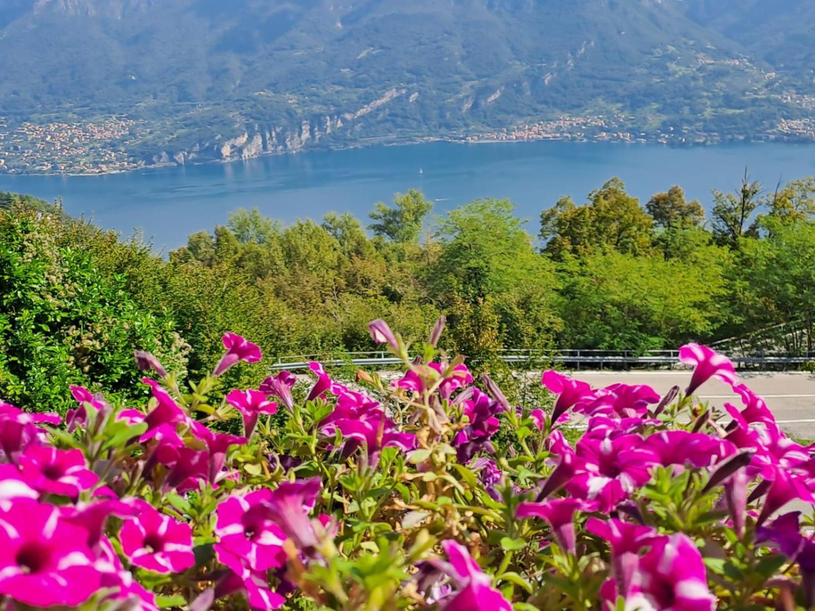 Provinciale 79 Hotel Magreglio ภายนอก รูปภาพ