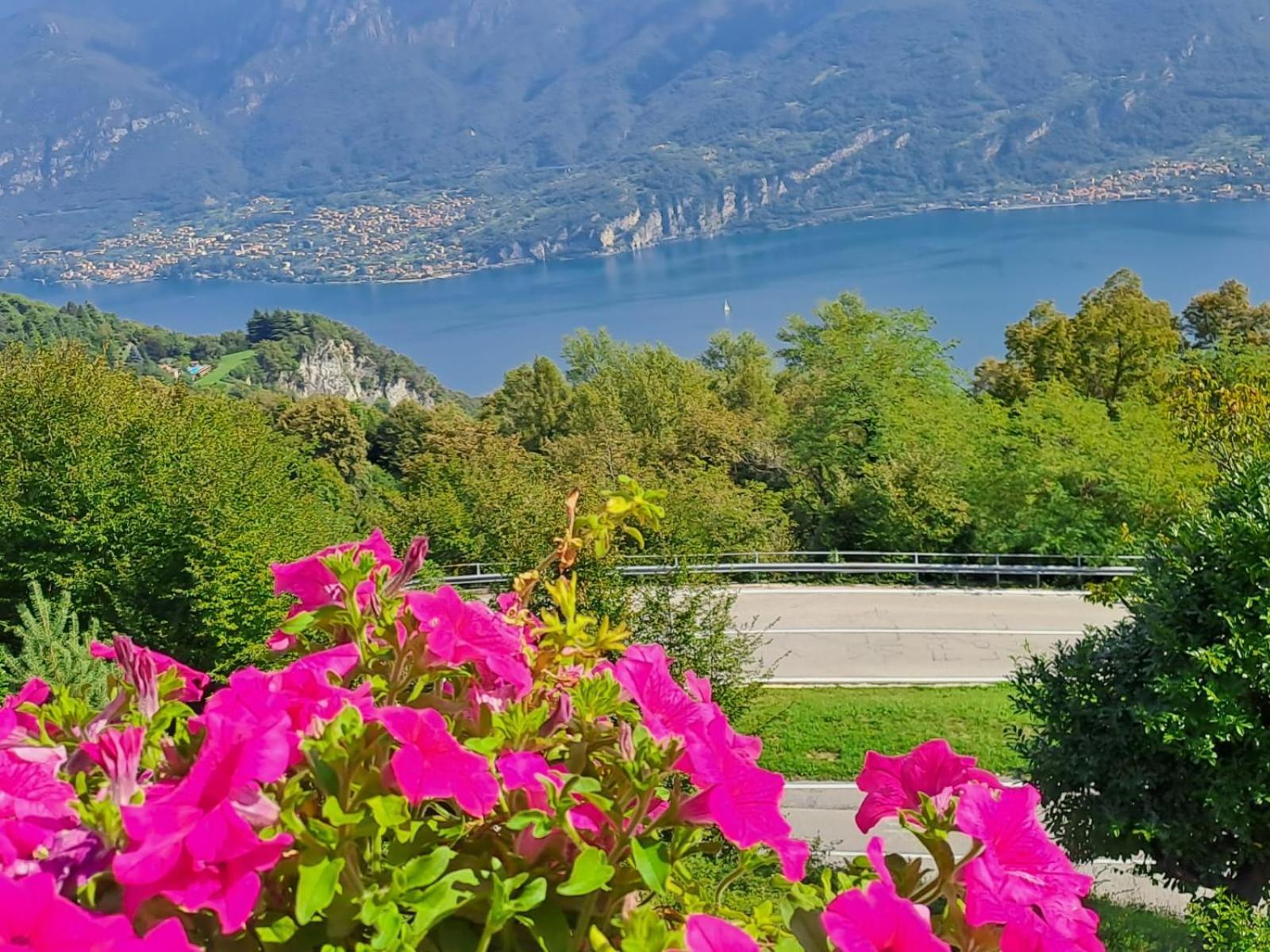 Provinciale 79 Hotel Magreglio ภายนอก รูปภาพ