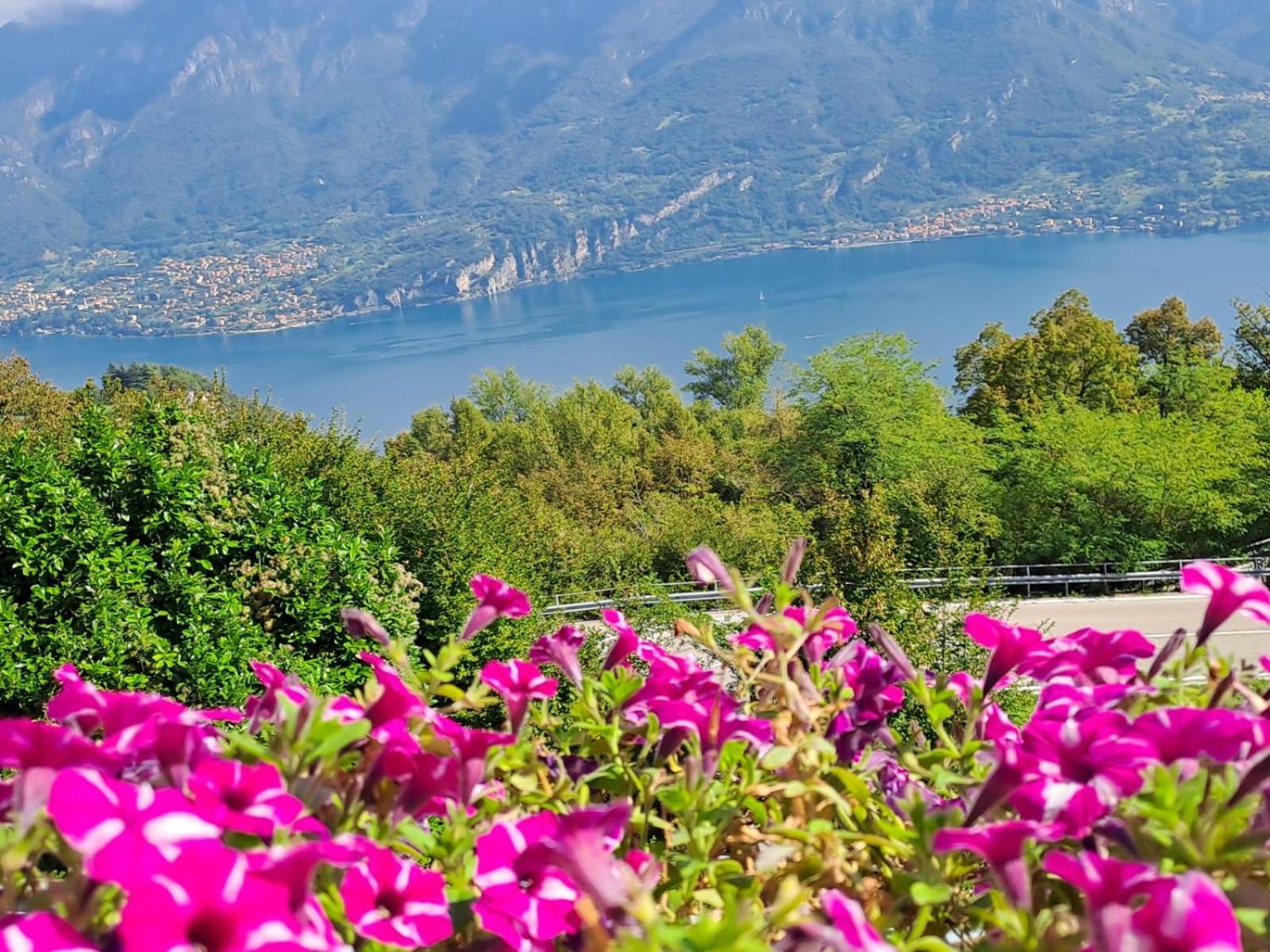 Provinciale 79 Hotel Magreglio ภายนอก รูปภาพ